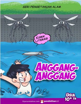 Anggang-Anggang
